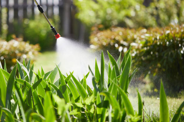 24/7 Emergency Cockroach Control experts in Pleasant Hill, OH