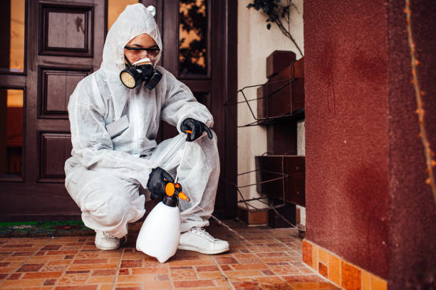 Reliable Cockroach Control contractor in Pleasant Hill, OH by Nex Pest Control